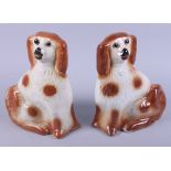 A pair of 19th century Staffordshire pottery spaniels with glass eyes, 11" high