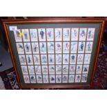 A set of fifty "Golfing Character" cigarette cards, framed and glazed