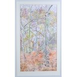 Juliette Palmer: watercolours, Autumn woodland, 14 1/2" x 8", in painted strip frame