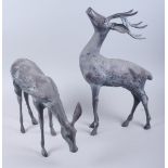 A pair of bronzed deer, stag and doe, stag 30" high