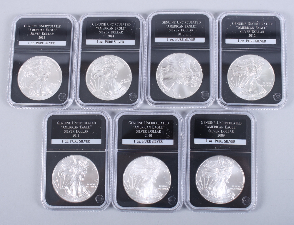 A part set of uncirculated American Eagle 1oz pure silver dollars, in wooden case - Image 19 of 20