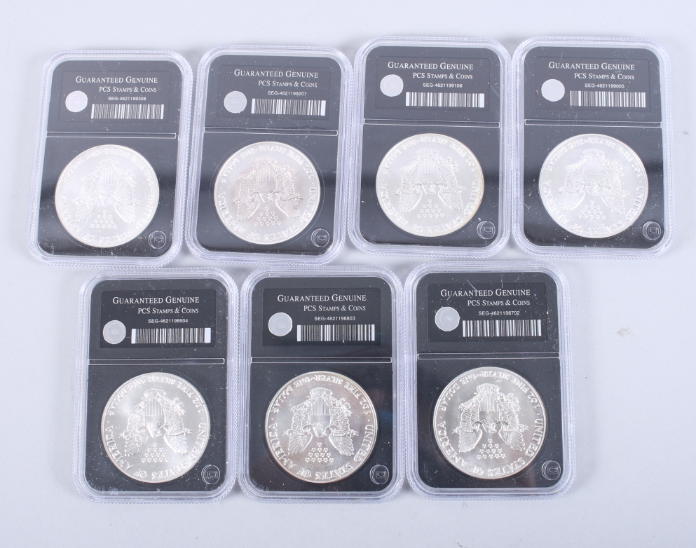 A part set of uncirculated American Eagle 1oz pure silver dollars, in wooden case - Image 11 of 20