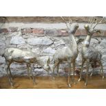 A pair of brass stags, 24” high, and a matching doe