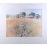 Richard Thorn: watercolours, field landscape, 15" x 19", mounted and unframed