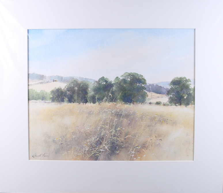 Richard Thorn: watercolours, two landscapes, daisies in a field, each 16" x 19", mounted and