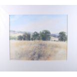 Richard Thorn: watercolours, two landscapes, daisies in a field, each 16" x 19", mounted and