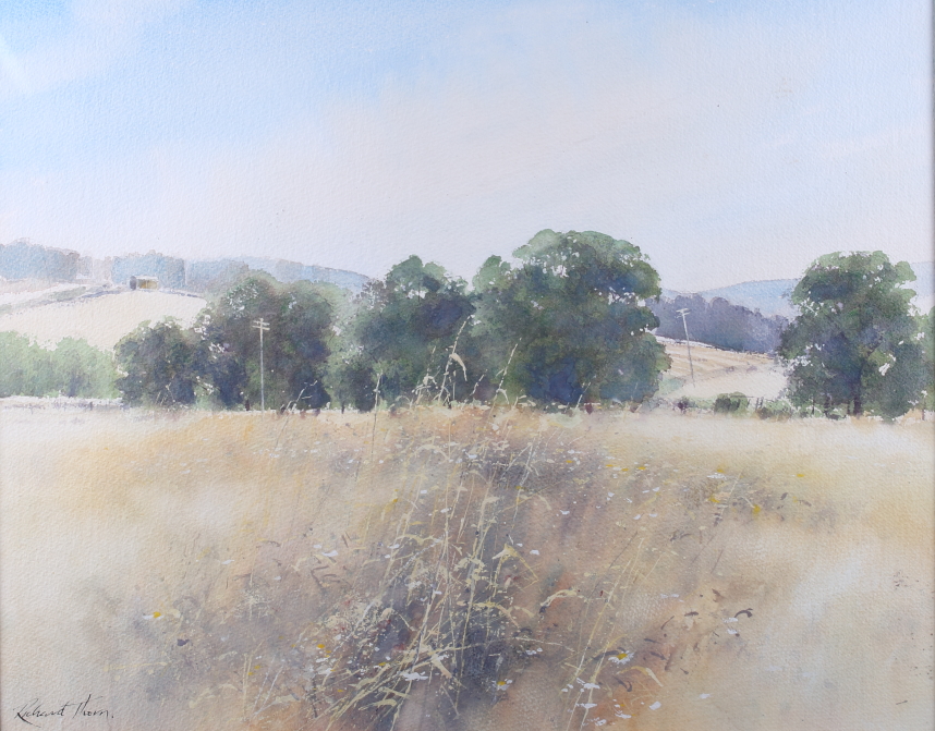 Richard Thorn: watercolours, two landscapes, daisies in a field, each 16" x 19", mounted and - Image 2 of 6