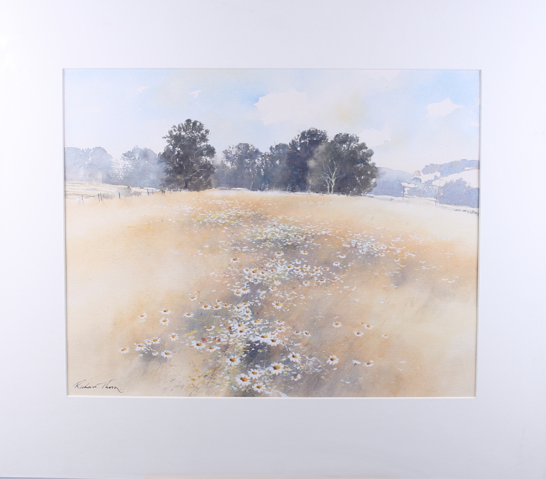 Richard Thorn: watercolours, two landscapes, daisies in a field, each 16" x 19", mounted and - Image 4 of 6
