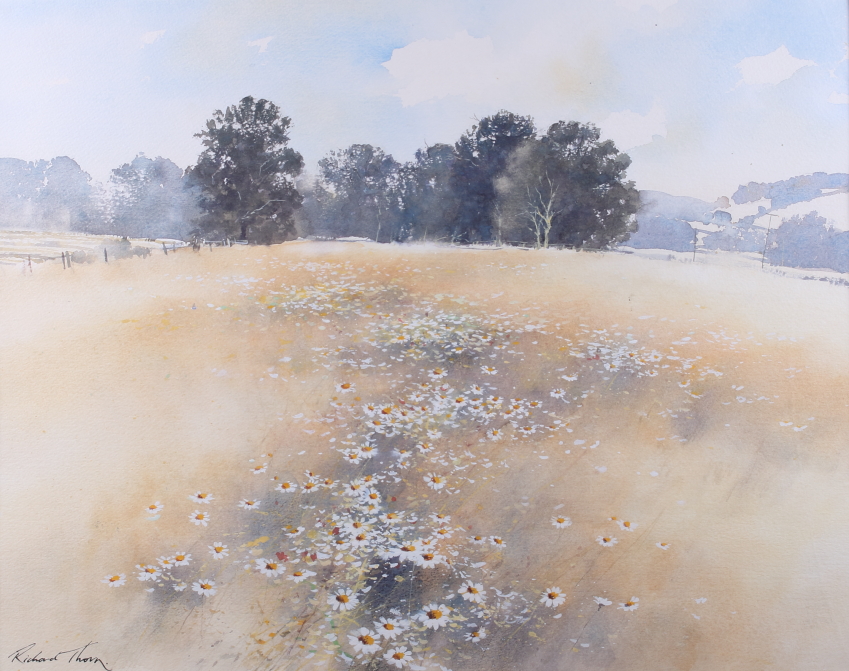 Richard Thorn: watercolours, two landscapes, daisies in a field, each 16" x 19", mounted and - Image 5 of 6