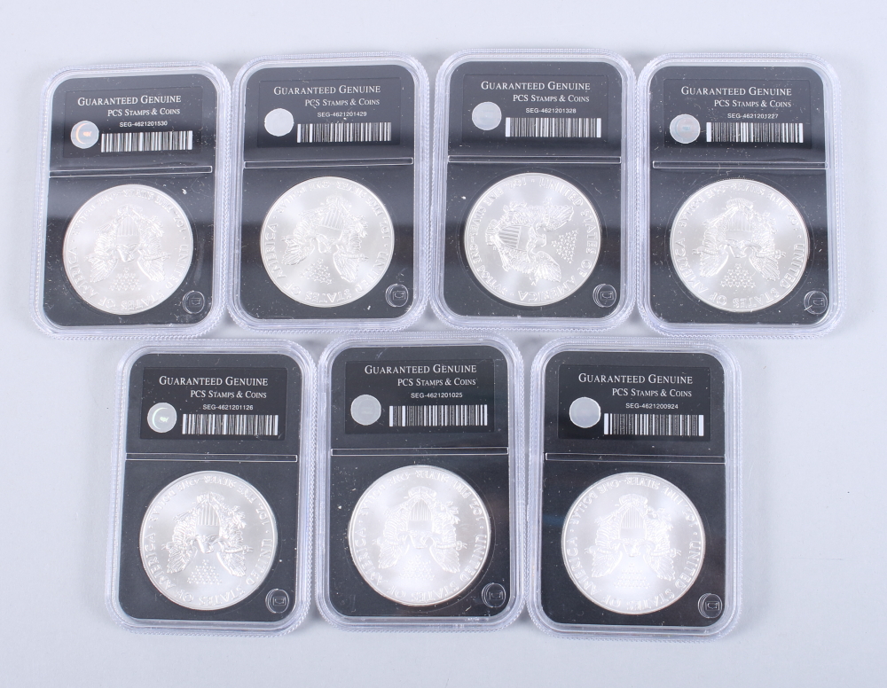 A part set of uncirculated American Eagle 1oz pure silver dollars, in wooden case - Image 20 of 20