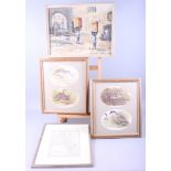 An assortment of framed colour prints including fashion plates, birds, etc