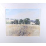 Richard Thorn: watercolours, two landscapes, daisies in a field, each 16" x 19", and another,