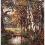 David Bates: oil on canvas, woodland scene, 9" square, in black and gilt frame