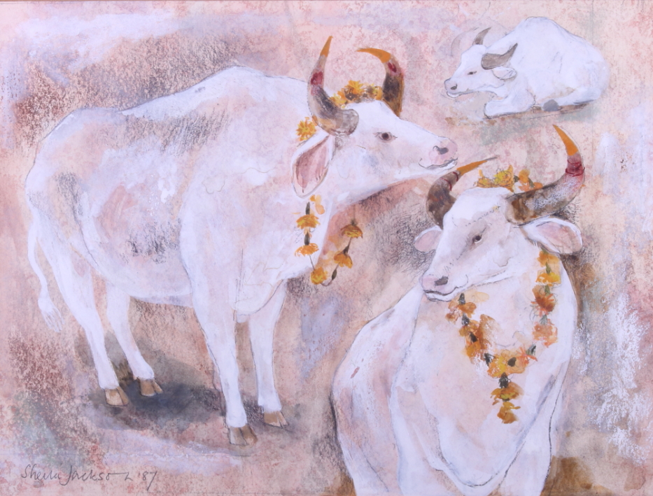 Sheila Jackson, 87: watercolour and chalk, "Cows with Garlands, India", 8" x 10 1/2", in laminated