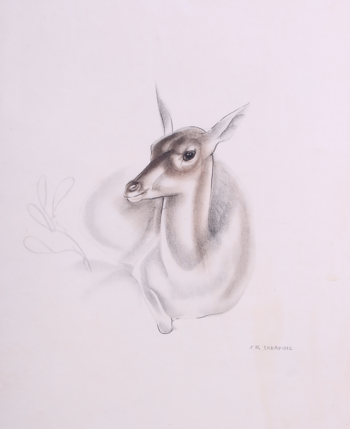 J R Skeaping: a study of a deer, in wooden strip frame