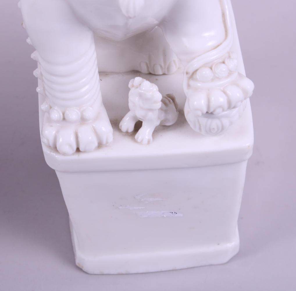 A pair of Chinese porcelain blanc de chine temple lions, on square bases, 11" high - Image 5 of 7