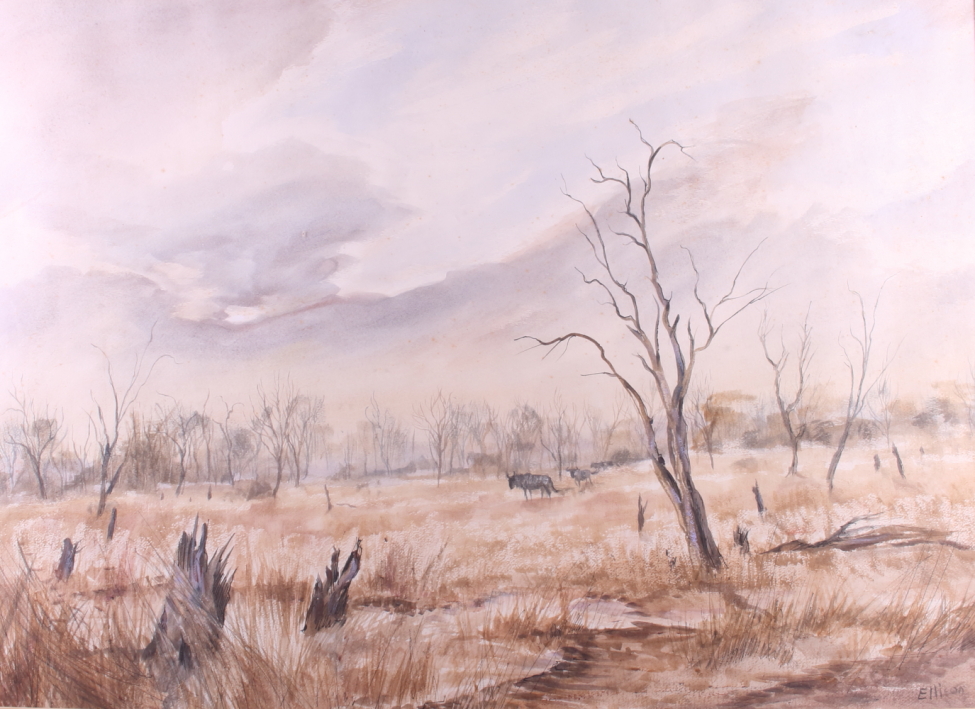 Ellison: watercolours, study of wildebeest in the African bush, 20" x 27 1/2", in strip frame