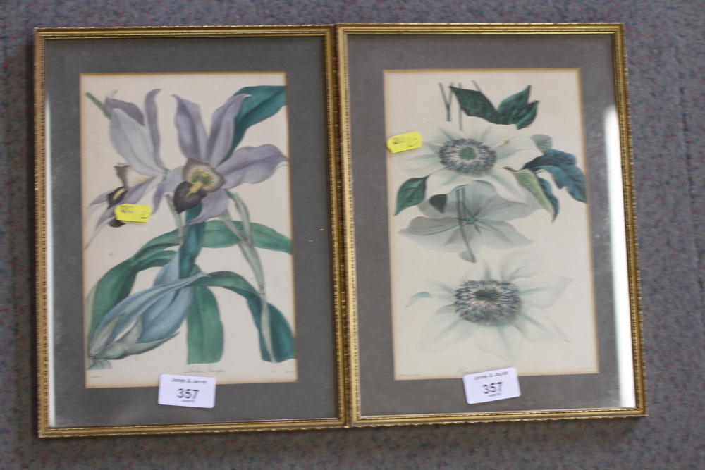 A set of eight 19th century botanical prints and one other similar print, in strip frame - Image 4 of 4