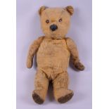 A mid 20th century gold plush teddy bear, 19" high
