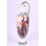 A Royal Worcester early 20th century hand-painted and gilt porcelain ewer, decorated peacocks,