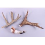 A Sami carved reindeer antler with sledging scenes, 12 1/4" wide, a cow horn with leather strap, and