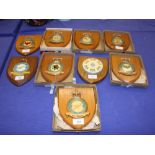 A collection of RAF Squadron badges, mounted on wooden plaques