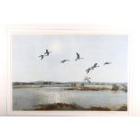 Peter Scott: a signed coloured print, "Pintail Ducks", in strip frame
