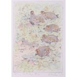 Peter Partington: watercolours, "Spring Partridge", a companion print and another similar