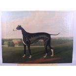 A 19th century oil on canvas, greyhound, 16" x 22", unframed