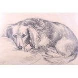Ursula White, 1966: charcoal study of a dog, 14 1/2" x 19", in wash lined mount and gilt frame