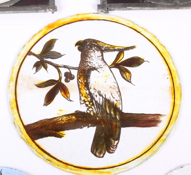 Five late 19th century stained glass panels of Australian birds (damages) - Image 4 of 5