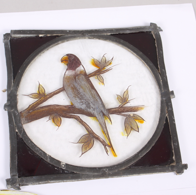 Five late 19th century stained glass panels of Australian birds (damages) - Image 3 of 5