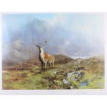 David Shepherd: a limited edition print, "The Prince of Rannoch Moor" landscape with stag and doe,