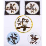 Five late 19th century stained glass panels of Australian birds (damages)