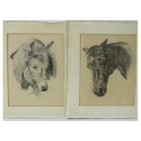 A pair of fine quality early 20th century pencil sketches being the head of a horse and front