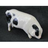 A Beswick pig, Gloucester Old Spot sow (G230 Designer Amanda Hughes-Lubeck).