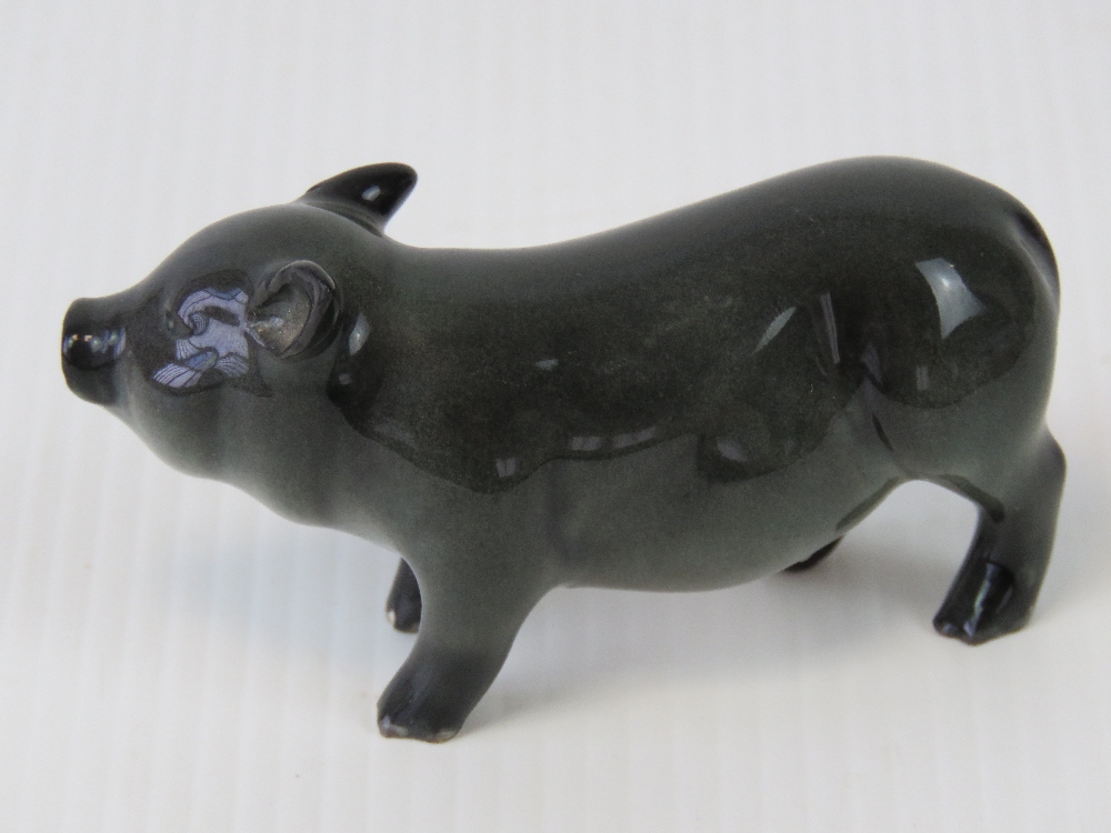 A Beswick pig, Vietnamese Pot-Bellied piglet (G213). - Image 2 of 3