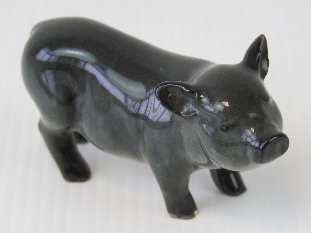 A Beswick pig, Vietnamese Pot-Bellied piglet (G213).