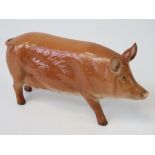 A Beswick pig, Tamworth sow (G215).