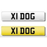 Registration plate X1 DOG on retention. SIA.