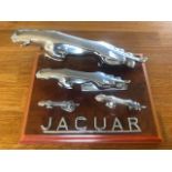 A beautiful and impressive Jaguar 'Leaping Cat' four mascot display.