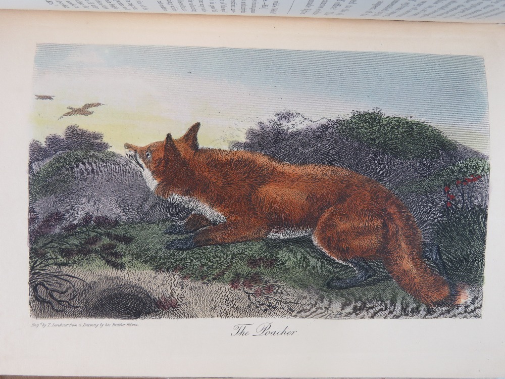 Book; 'The Noble Science of Fox Hunting' - Image 4 of 4