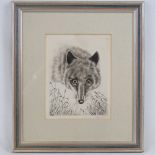 An etching of a fox's head and grasses,