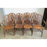 A harlequin set of elm seated wheel back dining chairs each raised over turned legs.