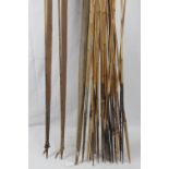 A quantity of three early 20th century tribal bows and approximately thirty hand sharpened and