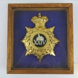 A good copy of the Victorian 24th 2nd Warwickshire Regiment shako badge in presentation display