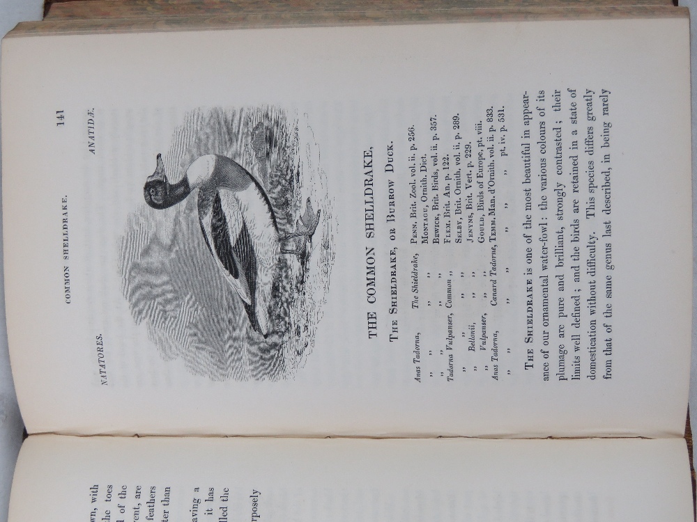 Book: 'A History of British Birds' by Wi - Image 3 of 3