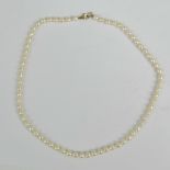 A set of pearls having 9ct gold clasp, measuring 42cm in length.