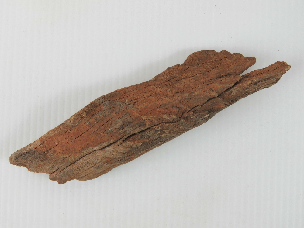 A small remnant of softwood measuring 13