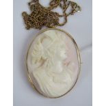 A large14ct gold and 'angel skin' coral cameo pendant / brooch,